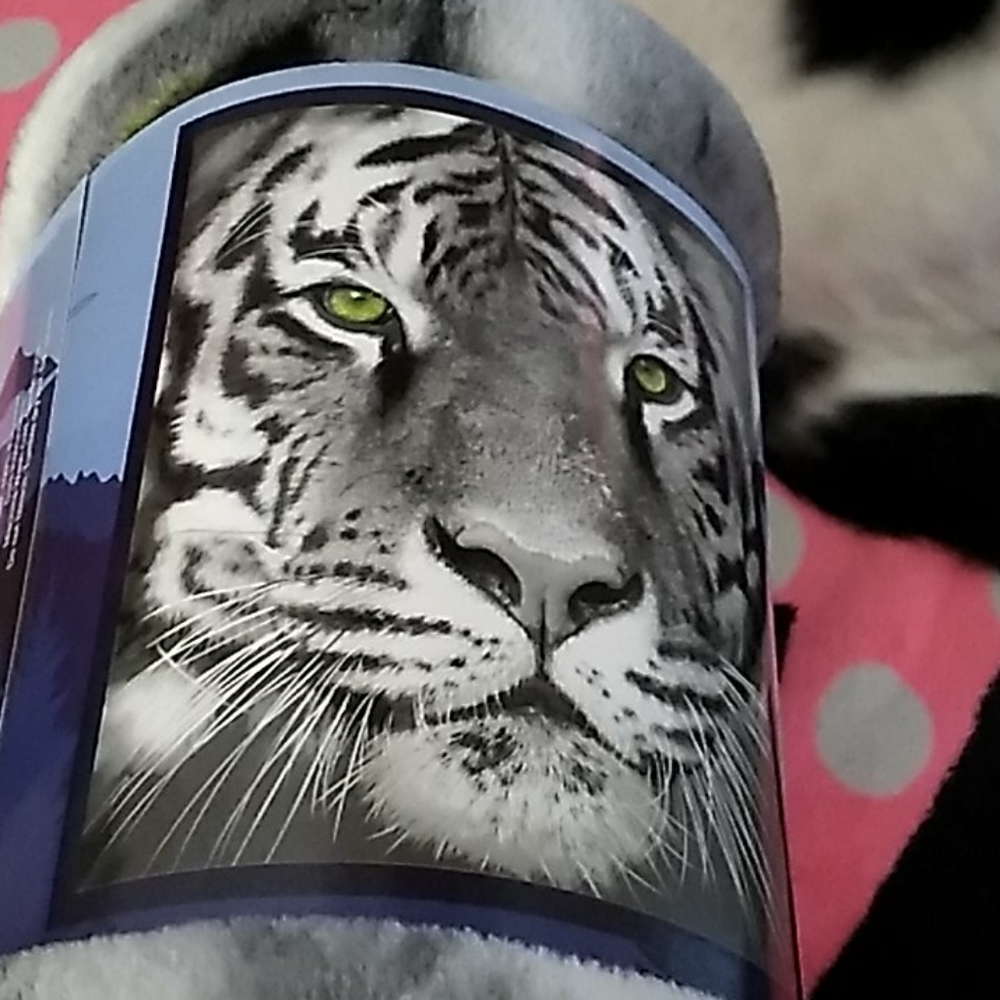 Tiger Blanket